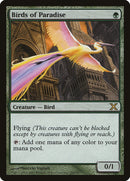 Birds of Paradise CHINESE [Tenth Edition]