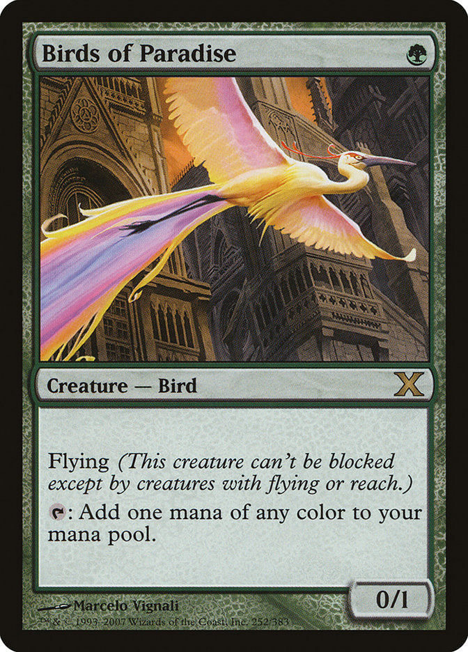 Birds of Paradise CHINESE [Tenth Edition]