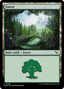 Forest (0285) [Murders at Karlov Manor]