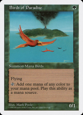 Birds of Paradise PORTUGUESE [Fifth Edition]