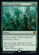 Awaken the Woods ESPAÑOL  [The Brothers' War]