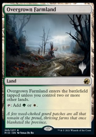 Overgrown Farmland (Promo Pack) ESPAÑOL [Innistrad: Midnight Hunt Promos]