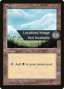 Plains (B) JAPANESE [Fourth Edition (Foreign Black Border)]